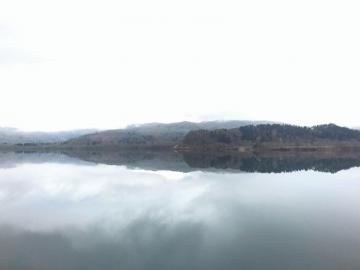 何の写真でしょうか？